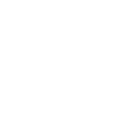 Deztination Logo